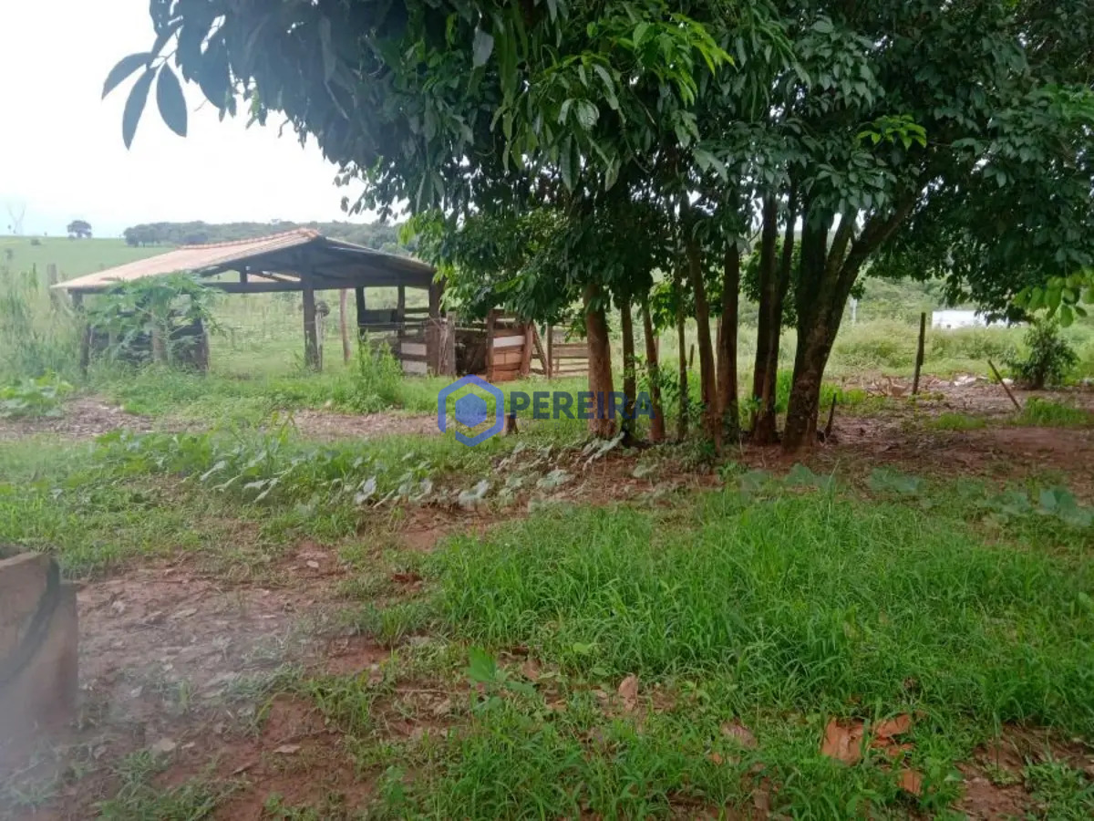 Chácara para Venda - 3 dorms, 1 suíte - Rural, Cosmorama - R$ 500.000 - Foto 3