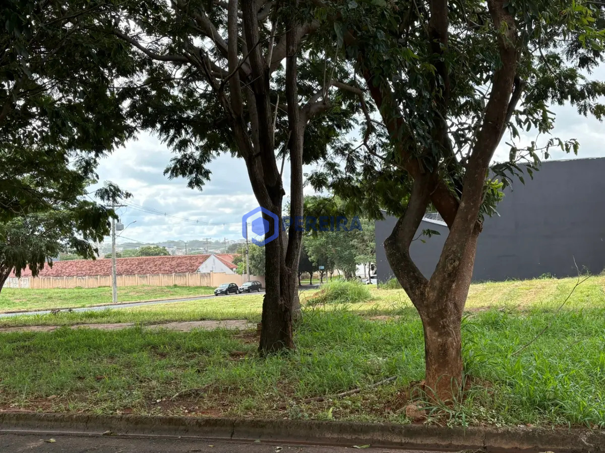 Terreno à Venda no Jardim dos Ypês, Votuporanga - Foto 5