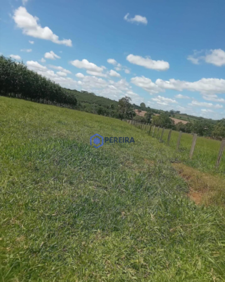 Chácara à Venda - Votuporanga - Foto principal