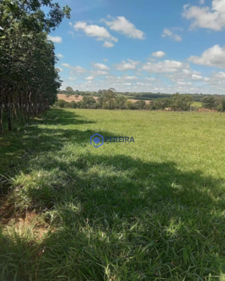 Chácara à Venda - Votuporanga - Foto 3
