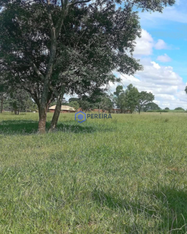 Chácara à Venda - Votuporanga - Foto 4