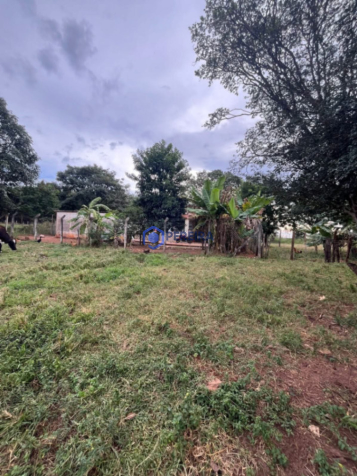 Chácara à Venda - 2 Dorms - Estrada do 27, Votuporanga - Foto 5
