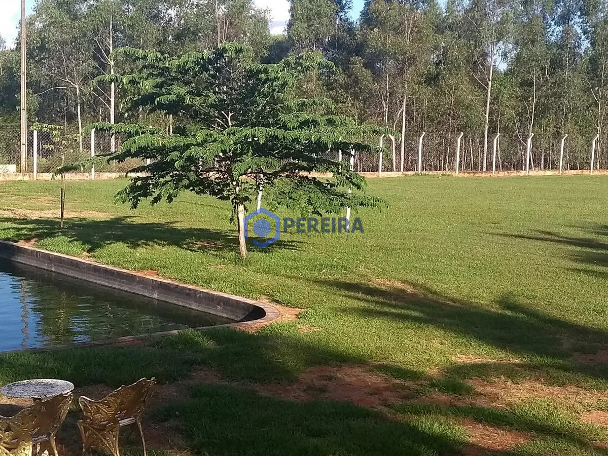 Chácara à Venda com 5 Dorms - Zona Rural, Votuporanga - Foto 4