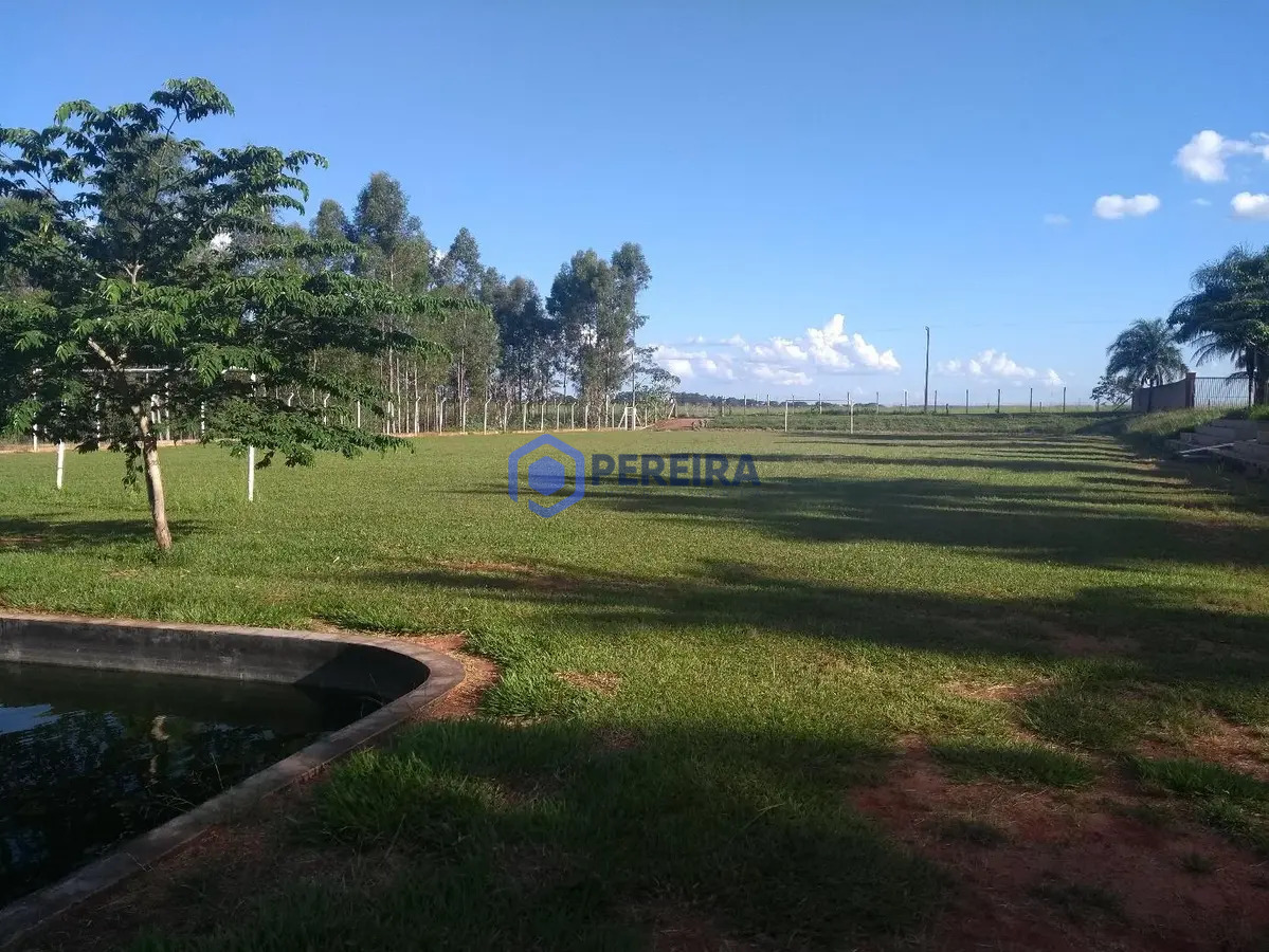 Chácara à Venda com 5 Dorms - Zona Rural, Votuporanga - Foto 5