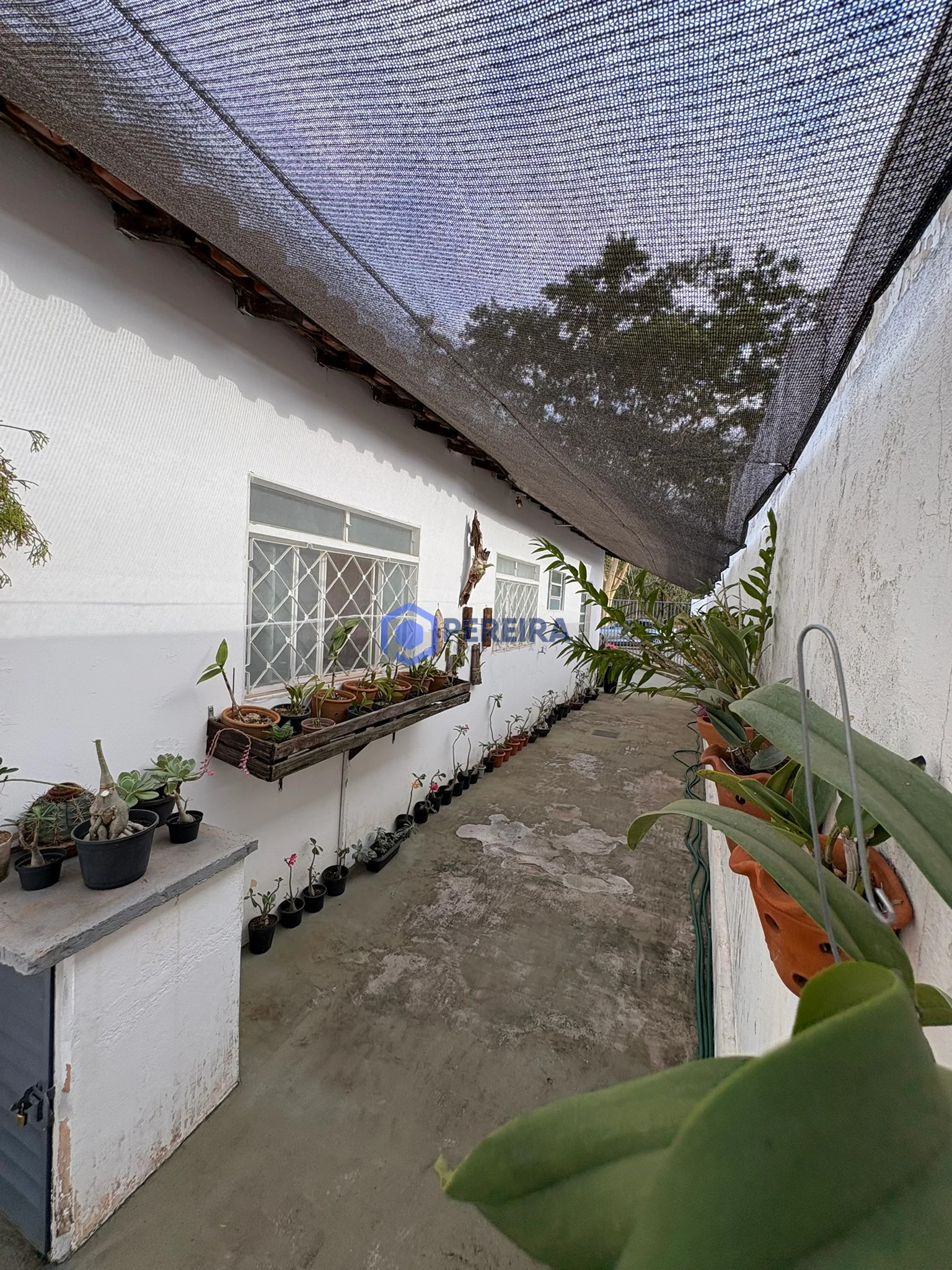 Casa à Venda - 3 Dorms e 1 Suíte - Parque das Nações, Votuporanga - Foto 4