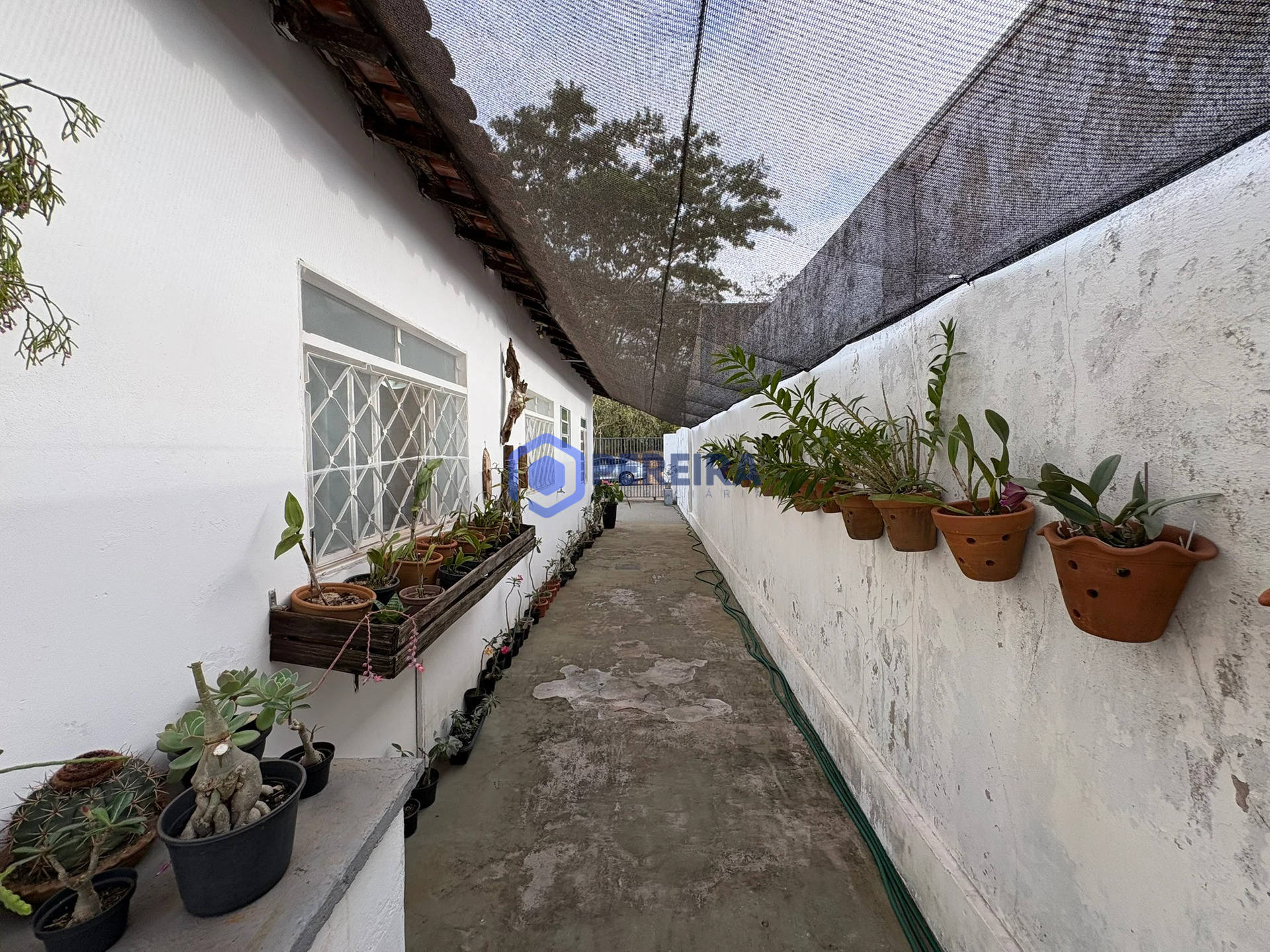 Casa à Venda - 3 Dorms e 1 Suíte - Parque das Nações, Votuporanga - Foto 5