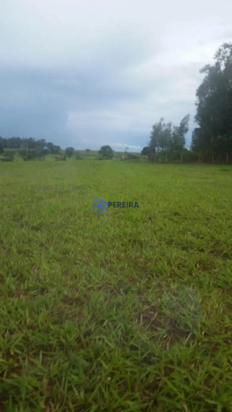 Chácara à venda, 36000 m² por R$ 480.000,00 - Zona Rural - Álvares Florence/SP - Foto 2