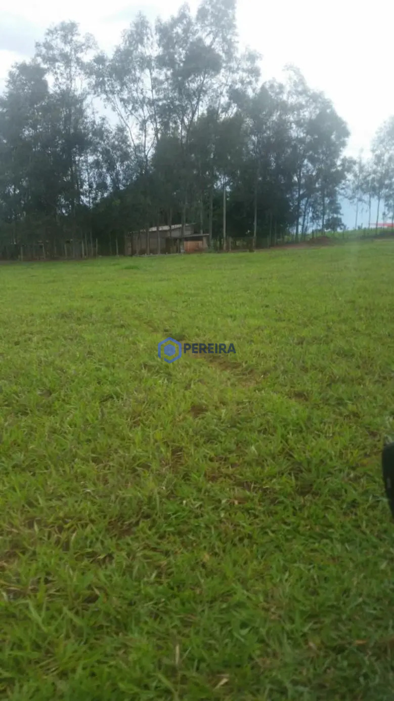 Chácara à venda, 36000 m² por R$ 480.000,00 - Zona Rural - Álvares Florence/SP - Foto 3