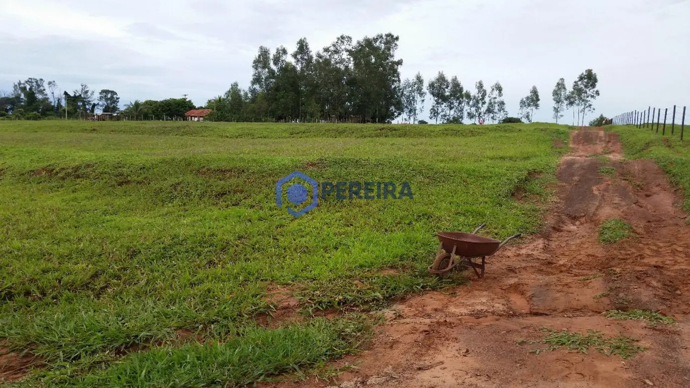 Chácara à venda, 36000 m² por R$ 480.000,00 - Zona Rural - Álvares Florence/SP - Foto 5
