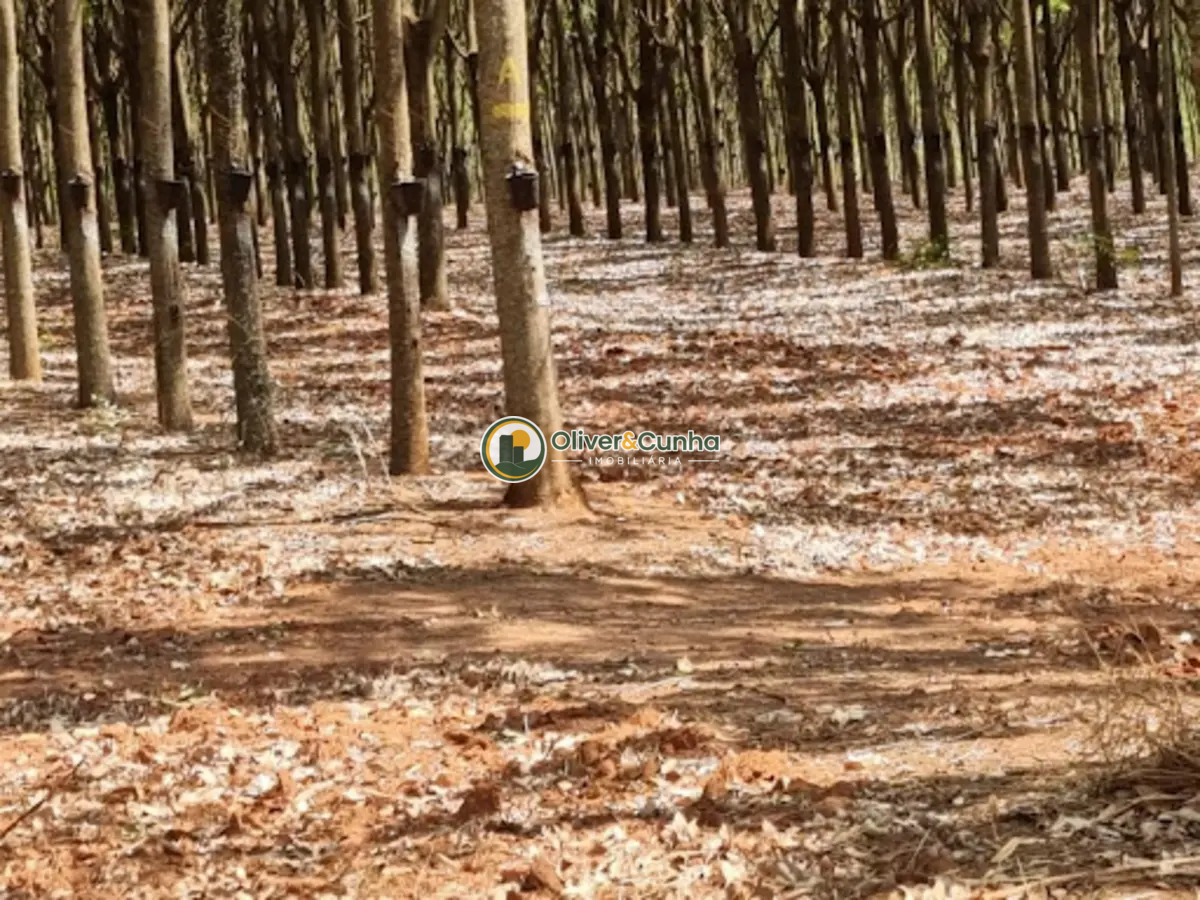 fazenda em Zona Rural - Foto 3