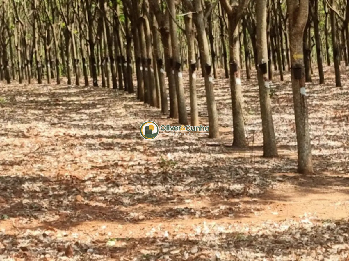 fazenda em Zona Rural - Foto principal