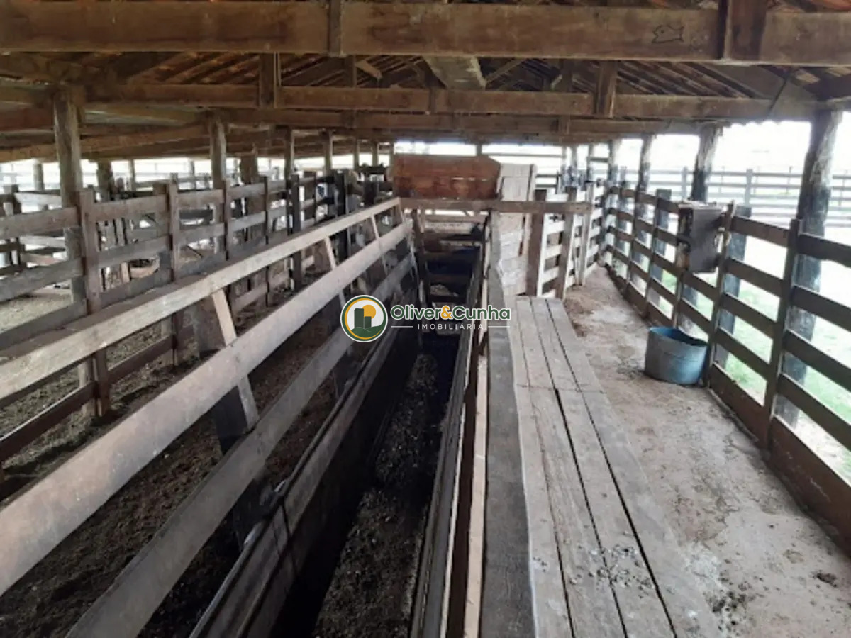 fazenda em Zona Rural - Foto 5