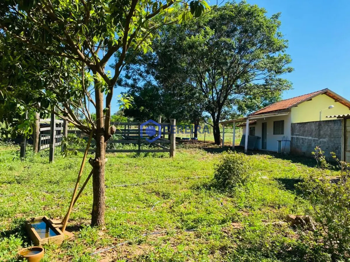 Chácara com 2 dormitórios à venda, 20000 m² por R$ 650.000,00 - Zona Rural - Votuporanga/SP - Foto 3