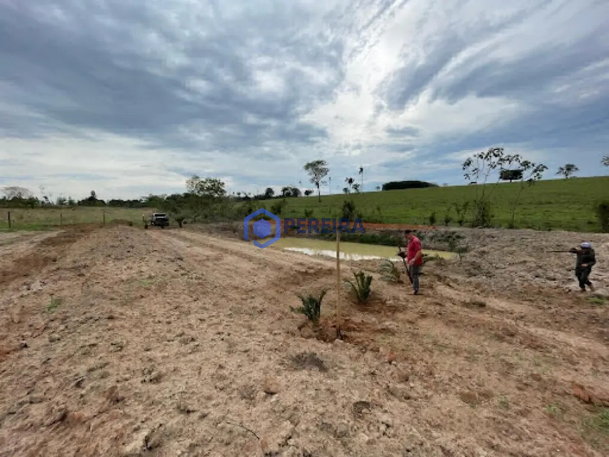 Chácara com 1 dormitório à venda, 24000 m² por R$ 230.000,00 - São Cosme - Votuporanga/SP - Foto 3