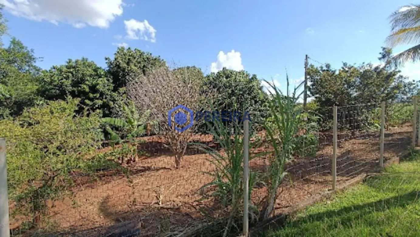 Chácara com 3 dormitórios à venda, 30350 m² por R$ 1.700.000,00 - Zona Rural - Votuporanga/SP - Foto 4