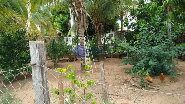 Chácara à venda, 7000 m² por R$ 900.000 - Zona Rural - Cardoso/SP