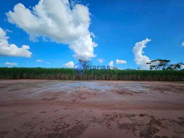 Fazenda à venda, 106 alqueires por R$ 21.200.000