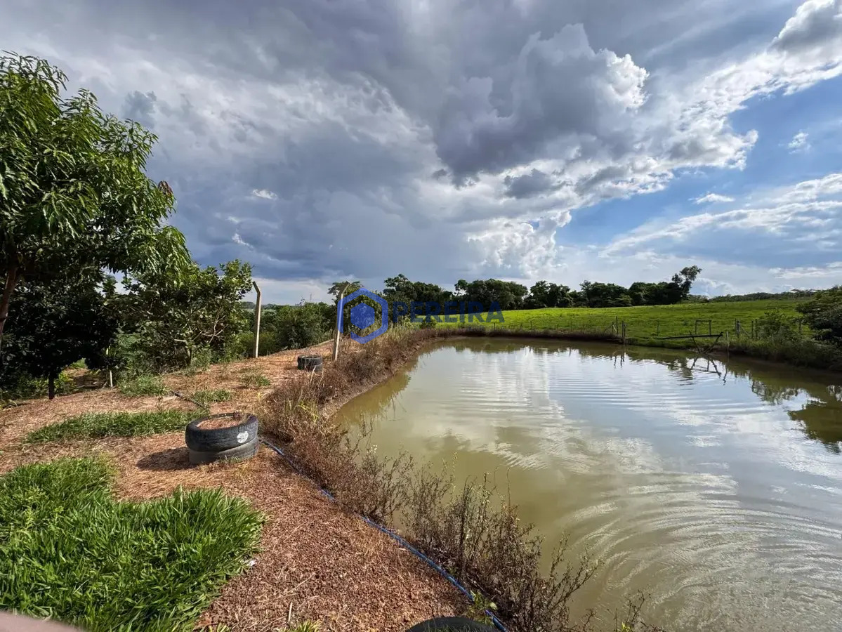 Chácara com 3 dormitórios à venda, 24000 m² por R$ 1.300.000,00 - Rural - Votuporanga/SP - Foto 2