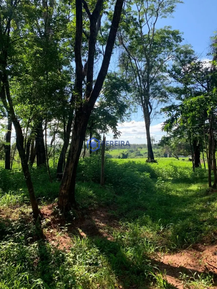 Chácara à venda, 20 m² por R$ 300.000 - Zona Rural - Parisi/SP - Foto 3