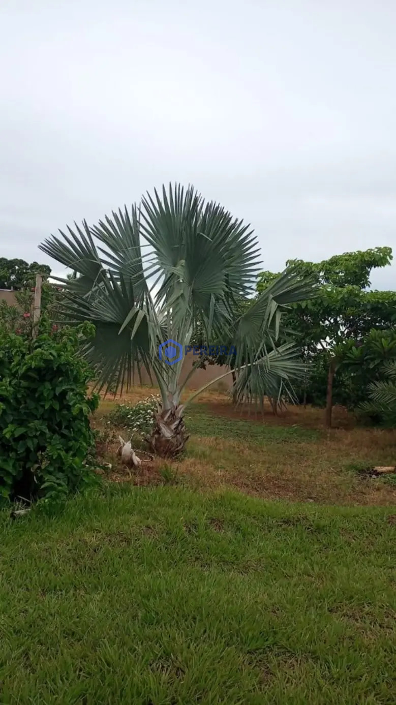 Chácara à venda, 240000 m² por R$ 600.000,00 - Zona Rural - Parisi/SP - Foto principal