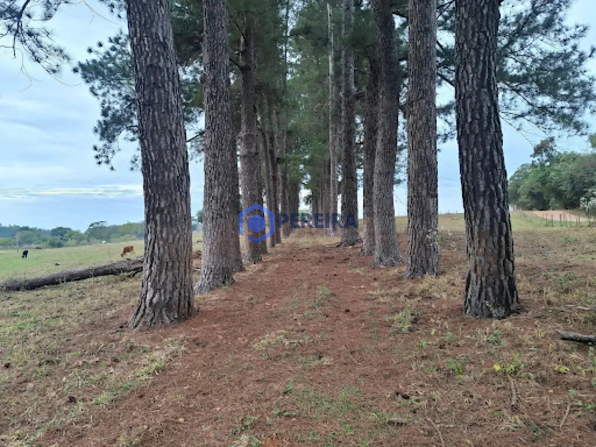 Chácara à venda, 16334 m² por R$ 370.000,00 - Zona Rural - Votuporanga/SP - Foto principal
