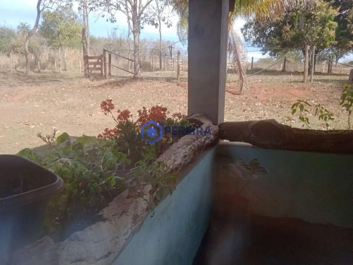 Chácara para Venda - 3 dorms, 1 suíte - Rural, Cosmorama - R$ 500.000 - Foto 4