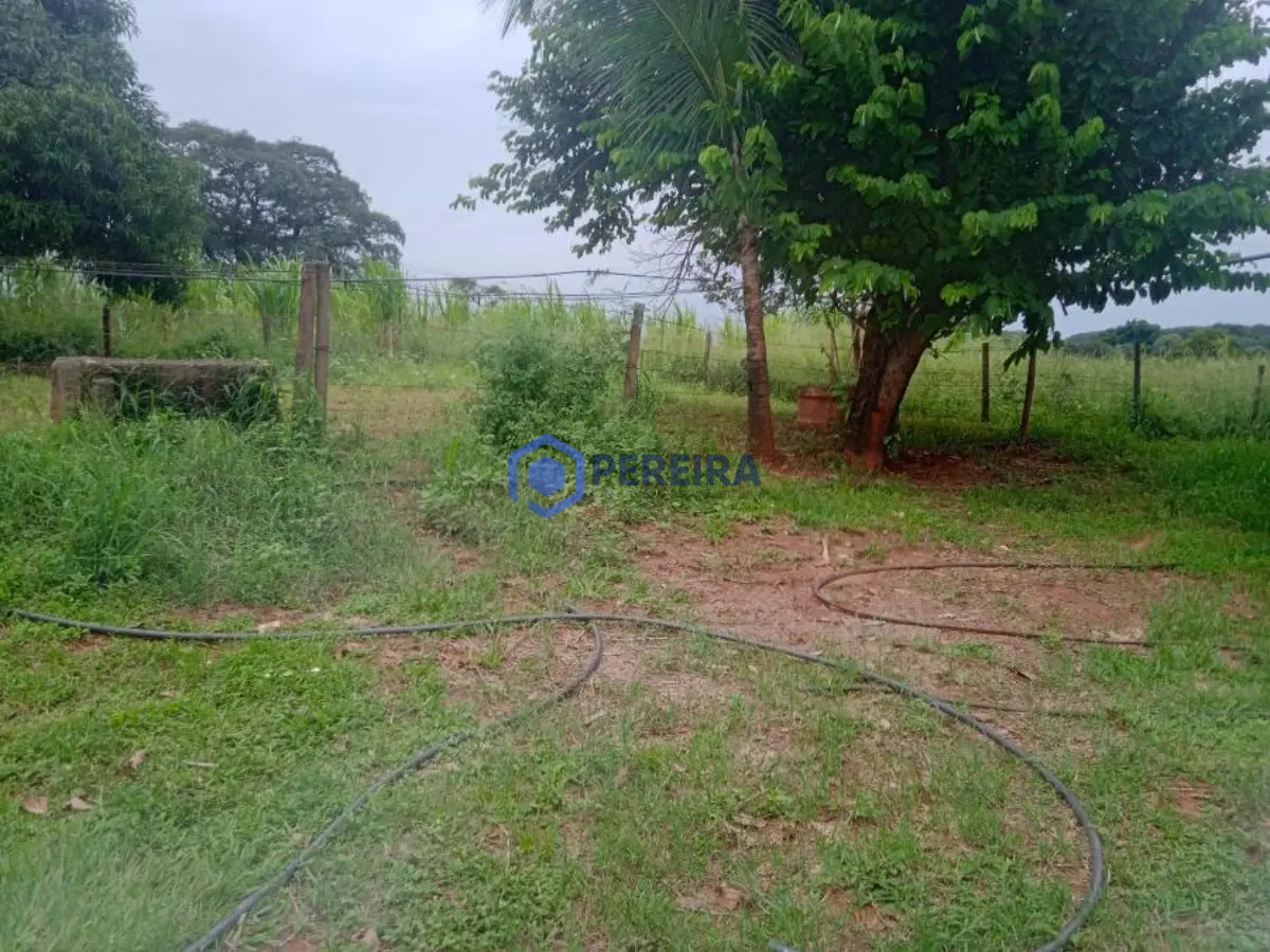 Chácara para Venda - 3 dorms, 1 suíte - Rural, Cosmorama - R$ 500.000 - Foto 5
