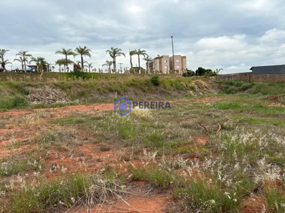 Terreno para Venda - Vila Hercília, Votuporanga - R$380.000 - Foto 4
