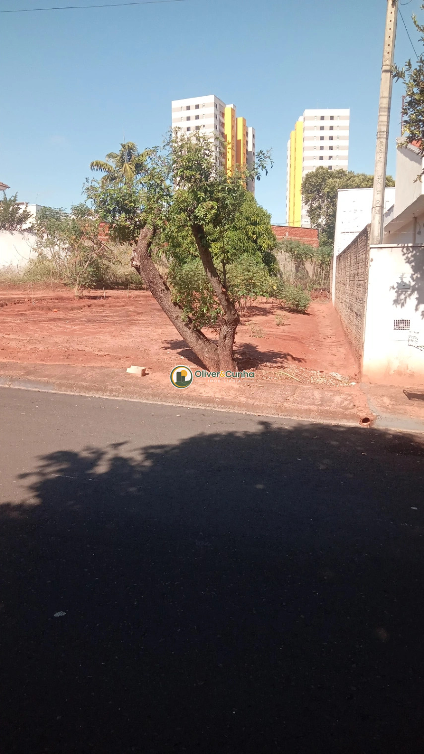 Terreno à Venda - 248m² - Vila Bela, Votuporanga - Foto 2
