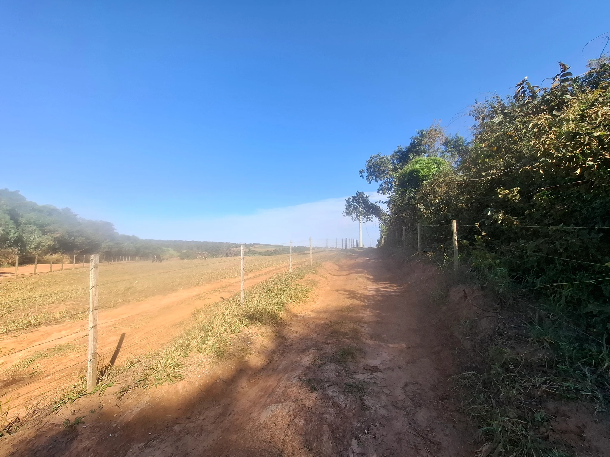 Chácara à Venda - 1 Dormitório - Rural, Votuporanga