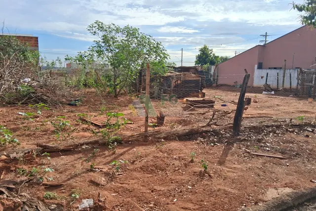 Terreno à Venda - 200m² - Jardim do Sol I, Cardoso - Foto 3