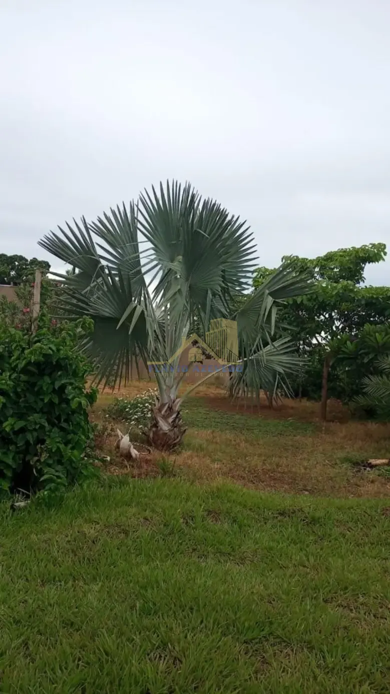 Chácara para Venda - Zona Rural, Parisi - Foto principal