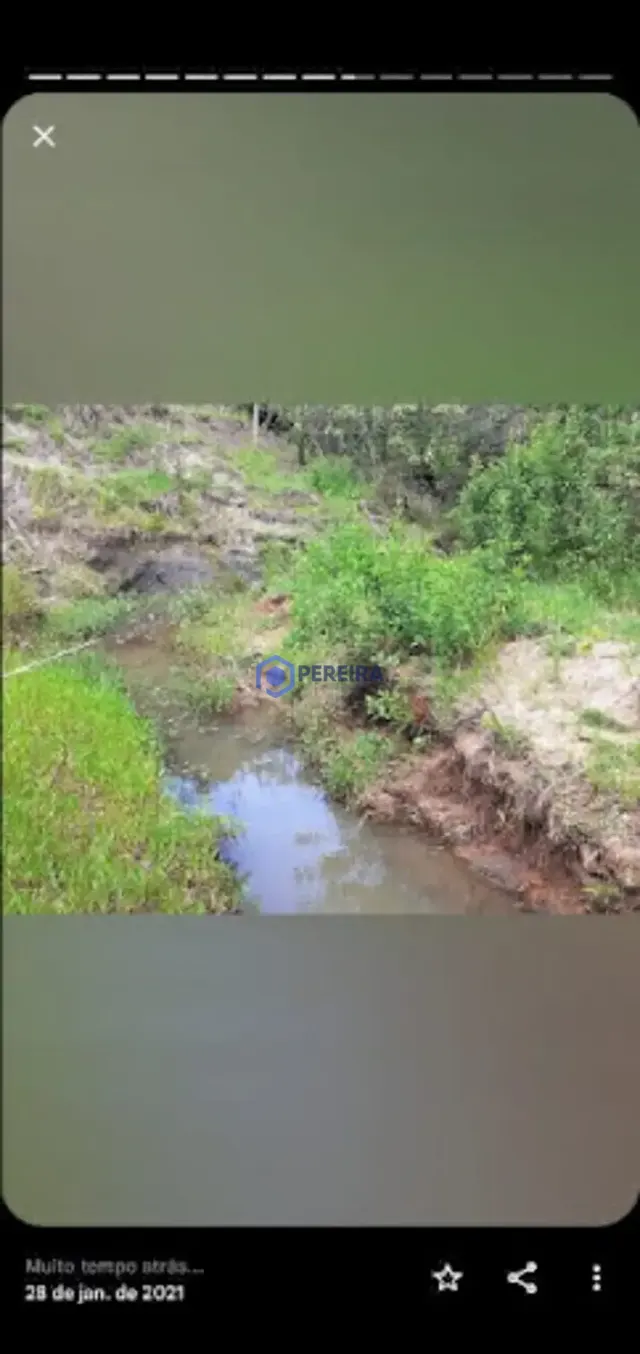 Chácara com 4 dormitórios à venda, 36000 m² por R$ 820.000,00 - Rural - Votuporanga/SP - Foto 2