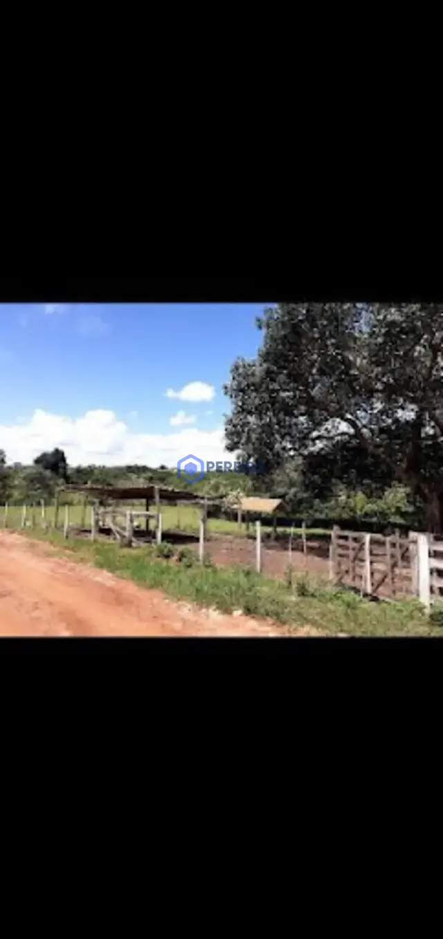 Chácara com 4 dormitórios à venda, 36000 m² por R$ 820.000,00 - Rural - Votuporanga/SP - Foto 4