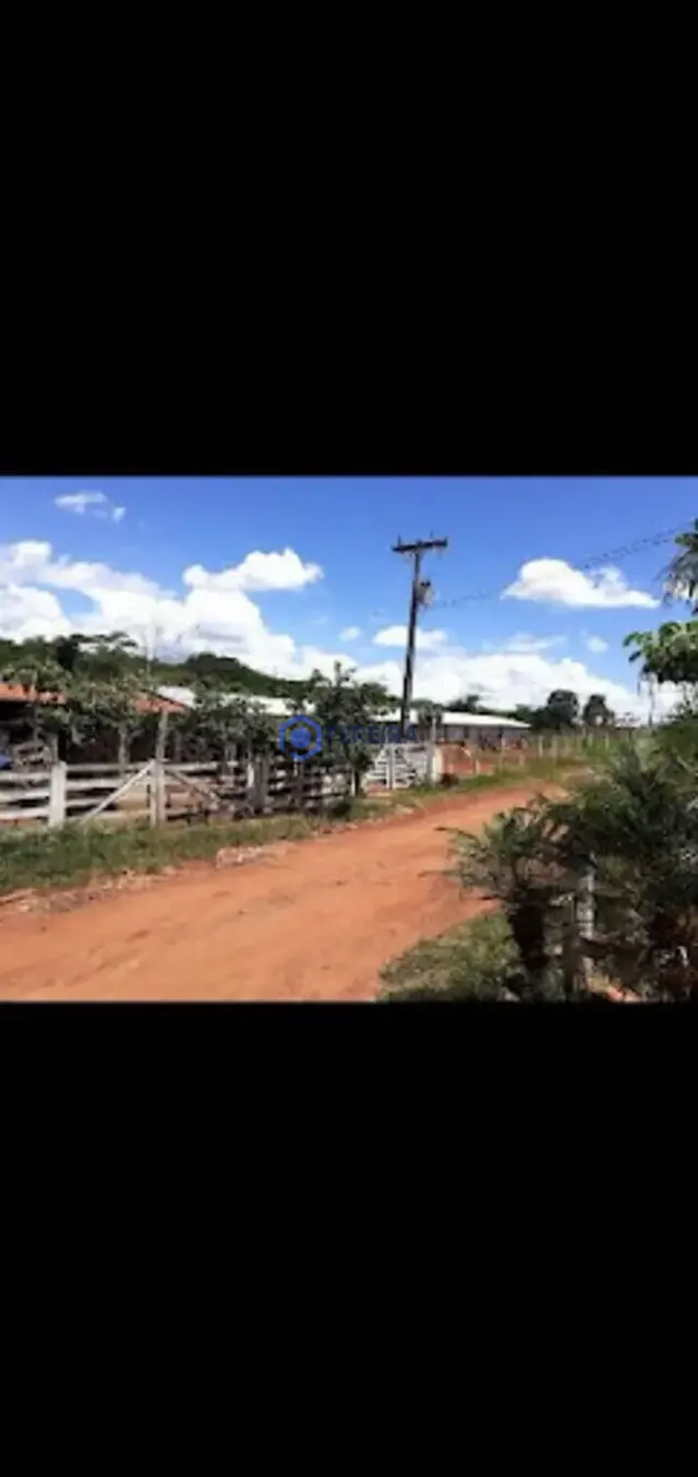 Chácara com 4 dormitórios à venda, 36000 m² por R$ 820.000,00 - Rural - Votuporanga/SP - Foto 5