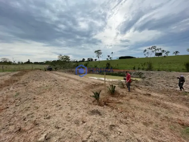 Chácara com 1 dormitório à venda, 24000 m² por R$ 230.000,00 - São Cosme - Votuporanga/SP - Foto 3
