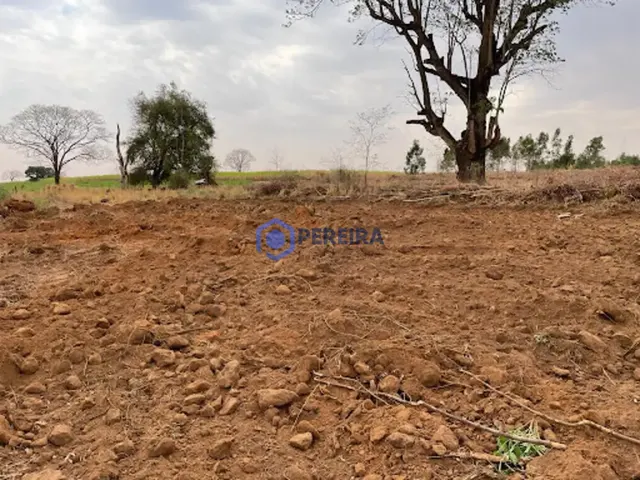 Chácara com 1 dormitório à venda, 24000 m² por R$ 230.000,00 - São Cosme - Votuporanga/SP - Foto 5
