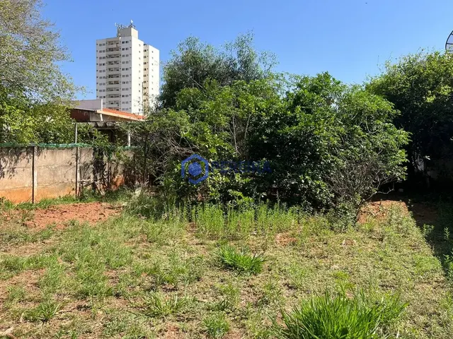 Casa com 3 dormitórios à venda, 179 m² por R$ 450.000,00 - Vila Nova - Votuporanga/SP - Foto 5