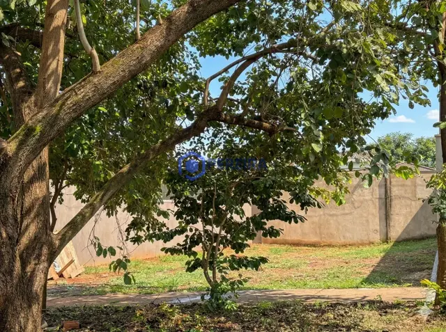 Terreno à Venda no Jardim dos Ypês, Votuporanga - Foto 2