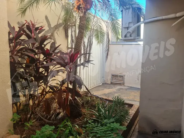 Rua Alagoas - Foto 2