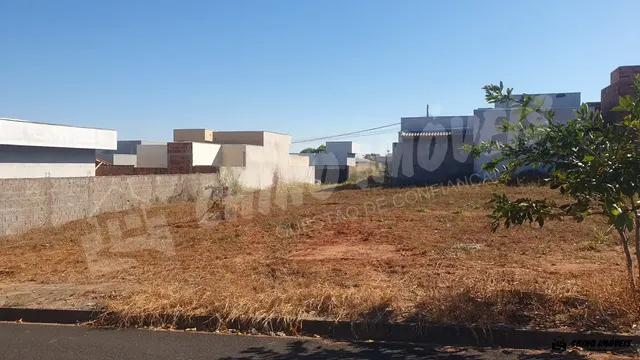 Rua Nazira Salomão Kanso - Foto 5