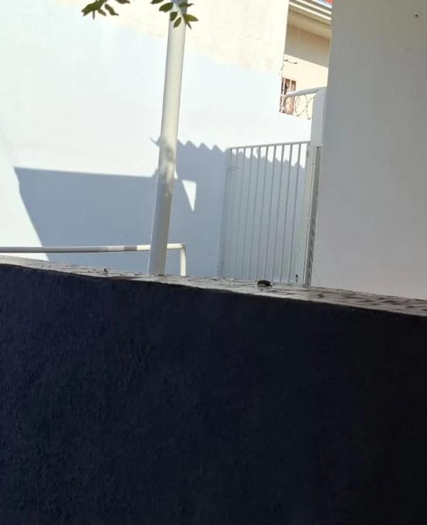 Casa para Locação - 1 Dormitório - Patrimônio Velho, Votuporanga - Foto 3